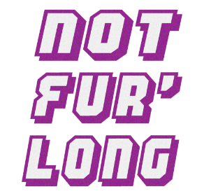 Not Furlong